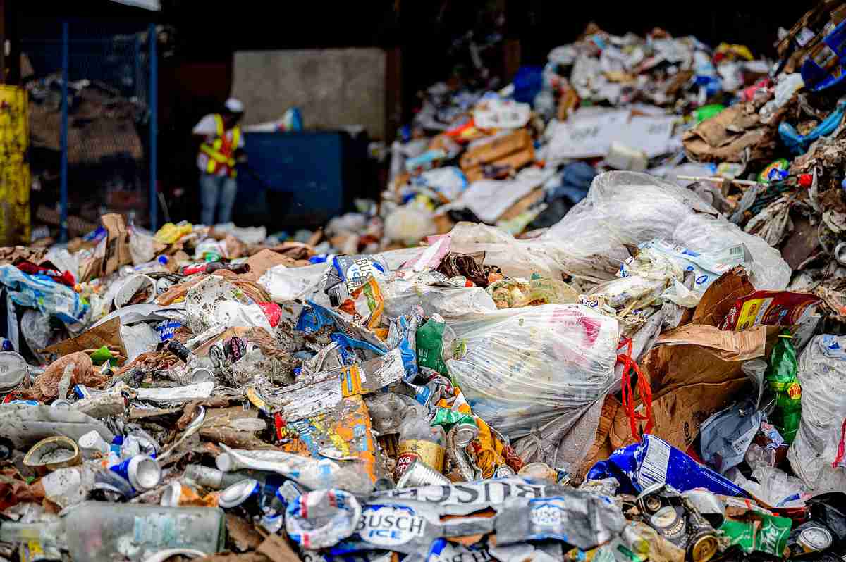 waste audit sorting