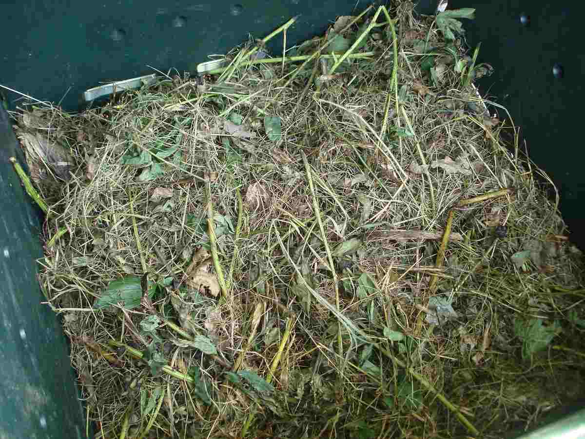 compost bin