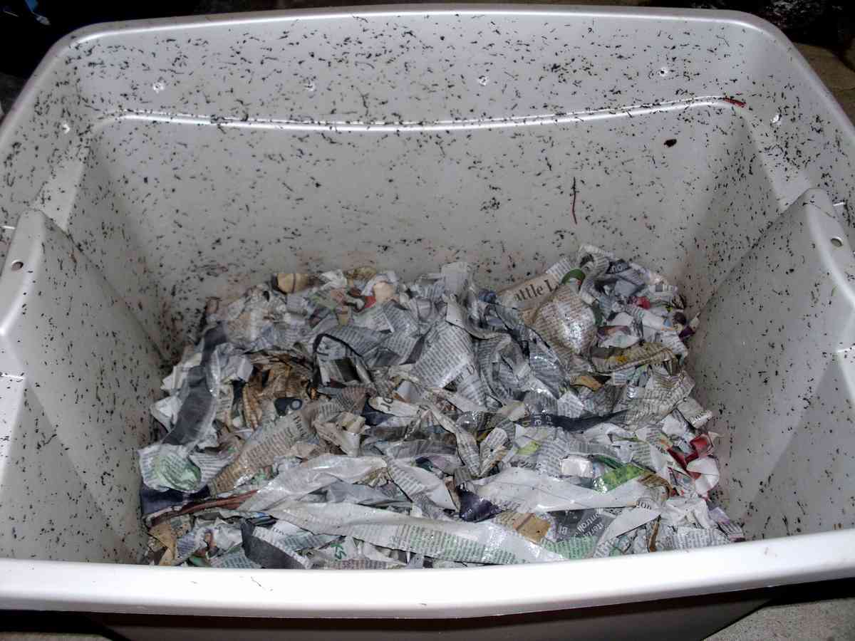 Worm composting