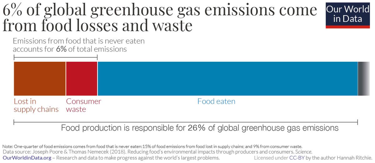 Food waste