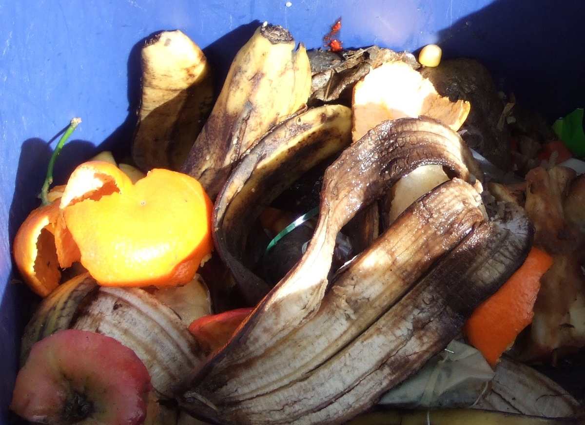 Bokashi Composting in Singapore: How to Ferment Food Scraps Indoors