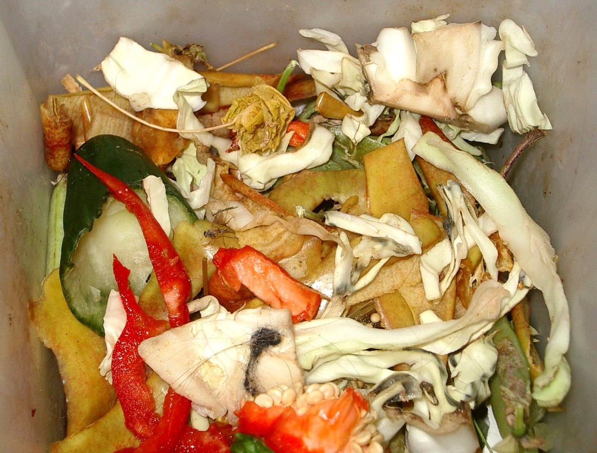 Composting in an HDB Flat: Small-Space Methods That Work in Singapore's Climate