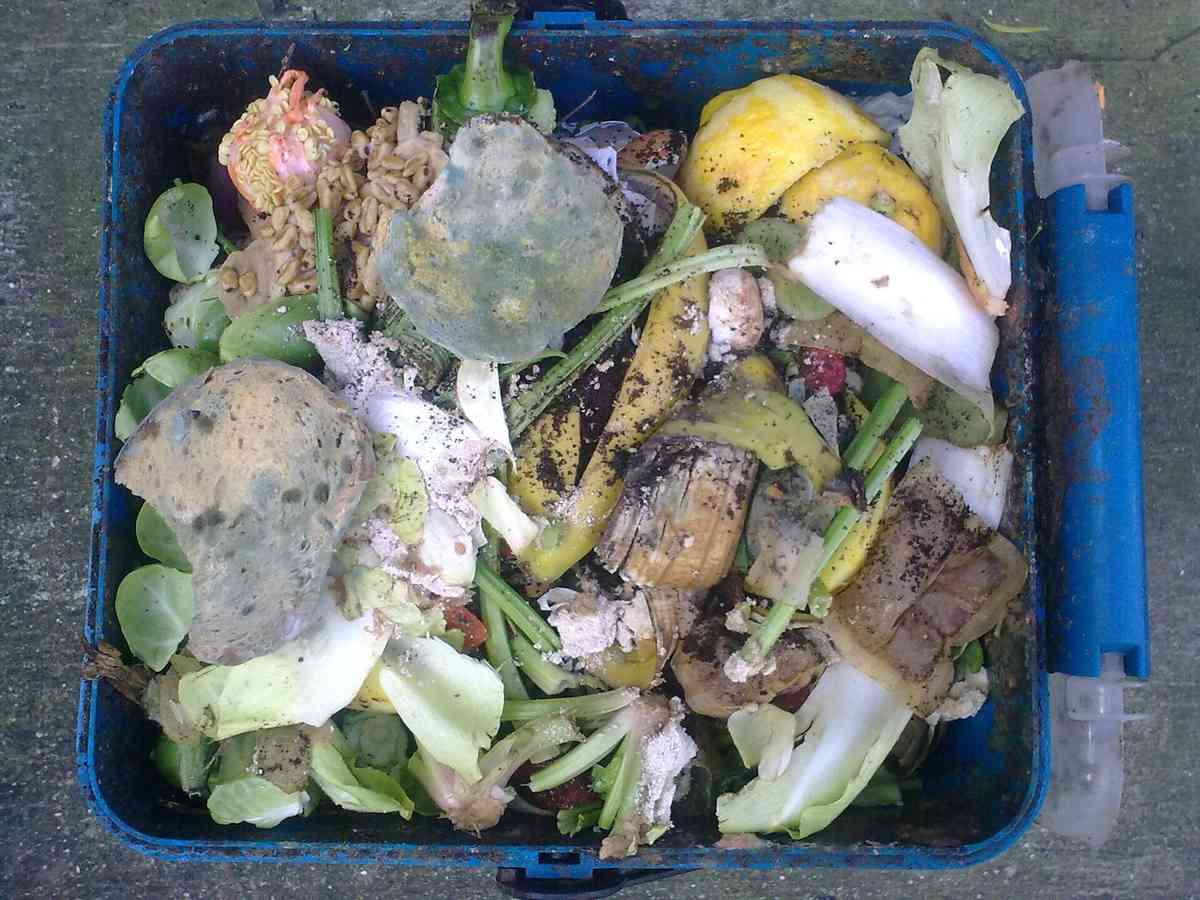 What the Resource Sustainability Act Requires for E-Waste Packaging and Food Waste