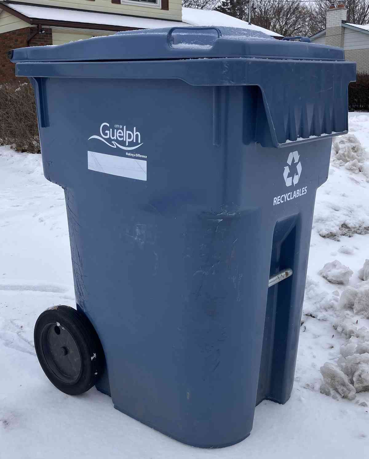 What Recycling Contamination Means in Singapore's Blue Bins