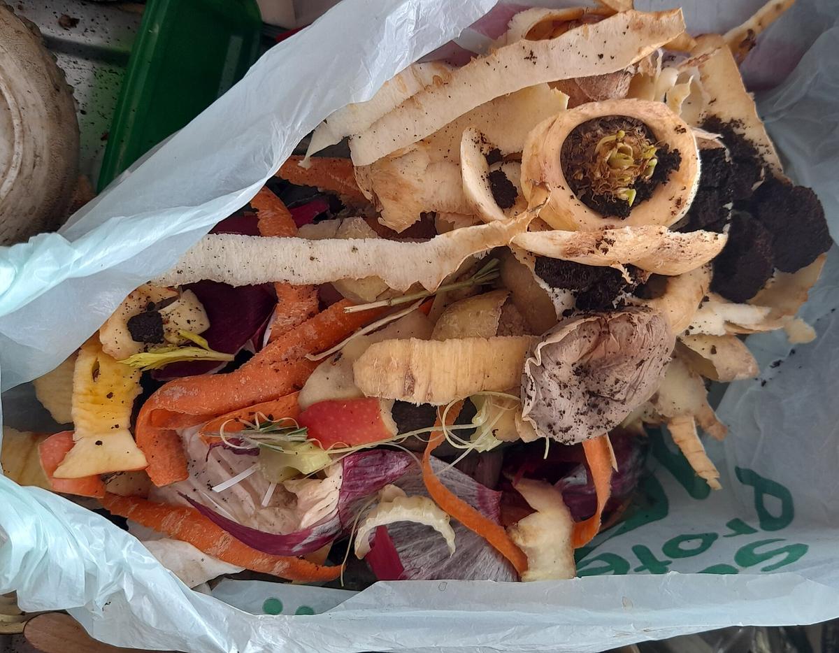 Singapore Zero Waste Kitchen: Food Storage, Meal Planning, and Durable Swaps