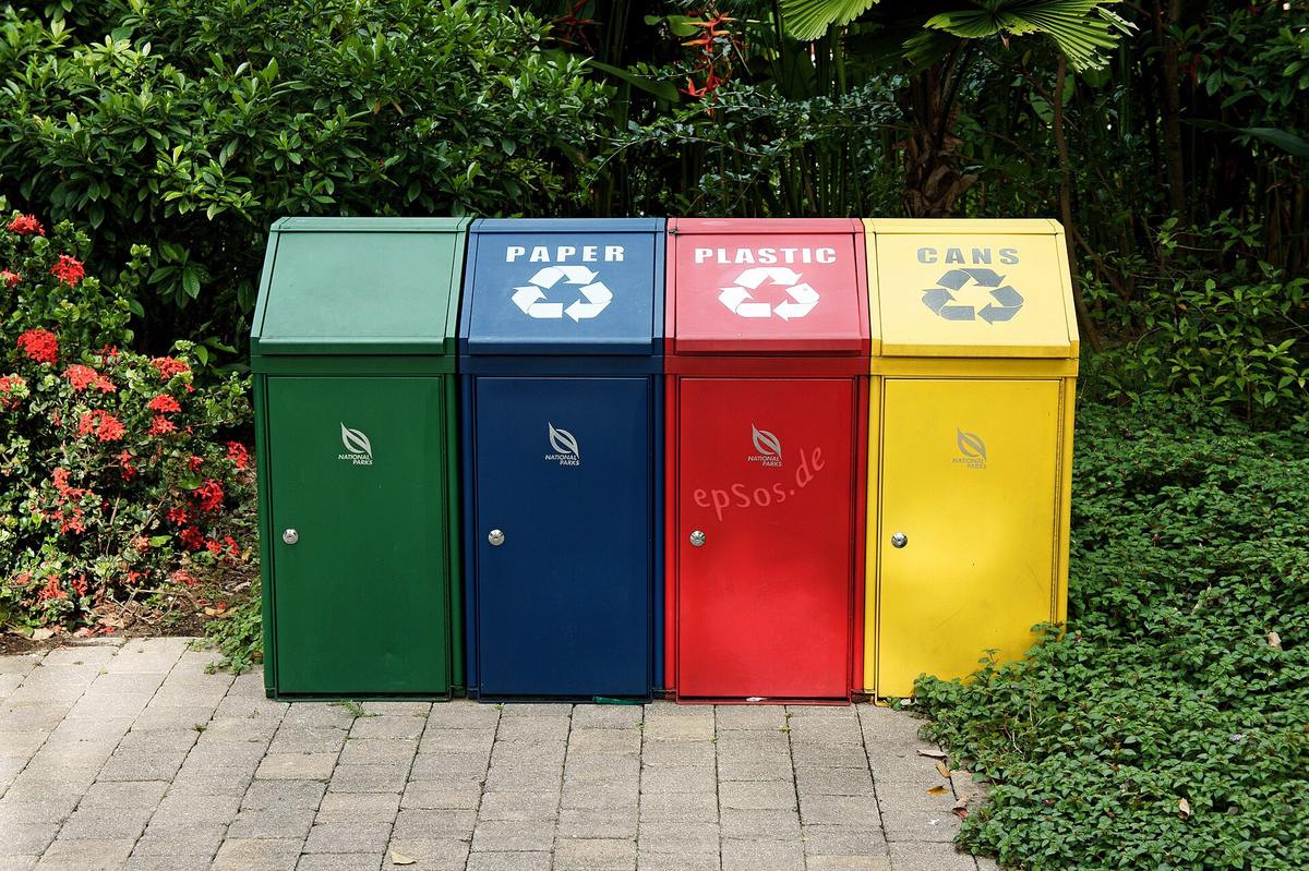Which bin does it go in?
